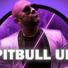 Pitbull Tribute