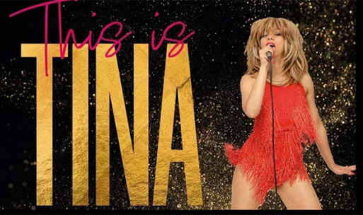 Tina Turner Tribute